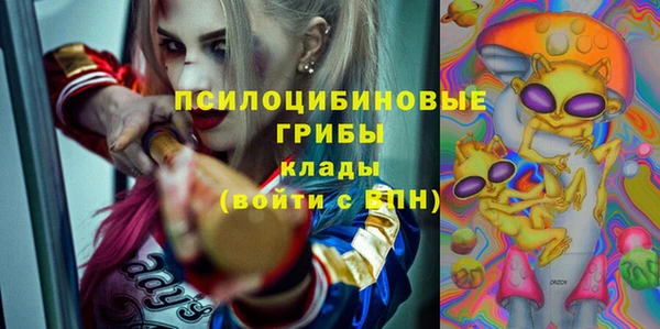 PSILOCYBIN Армянск